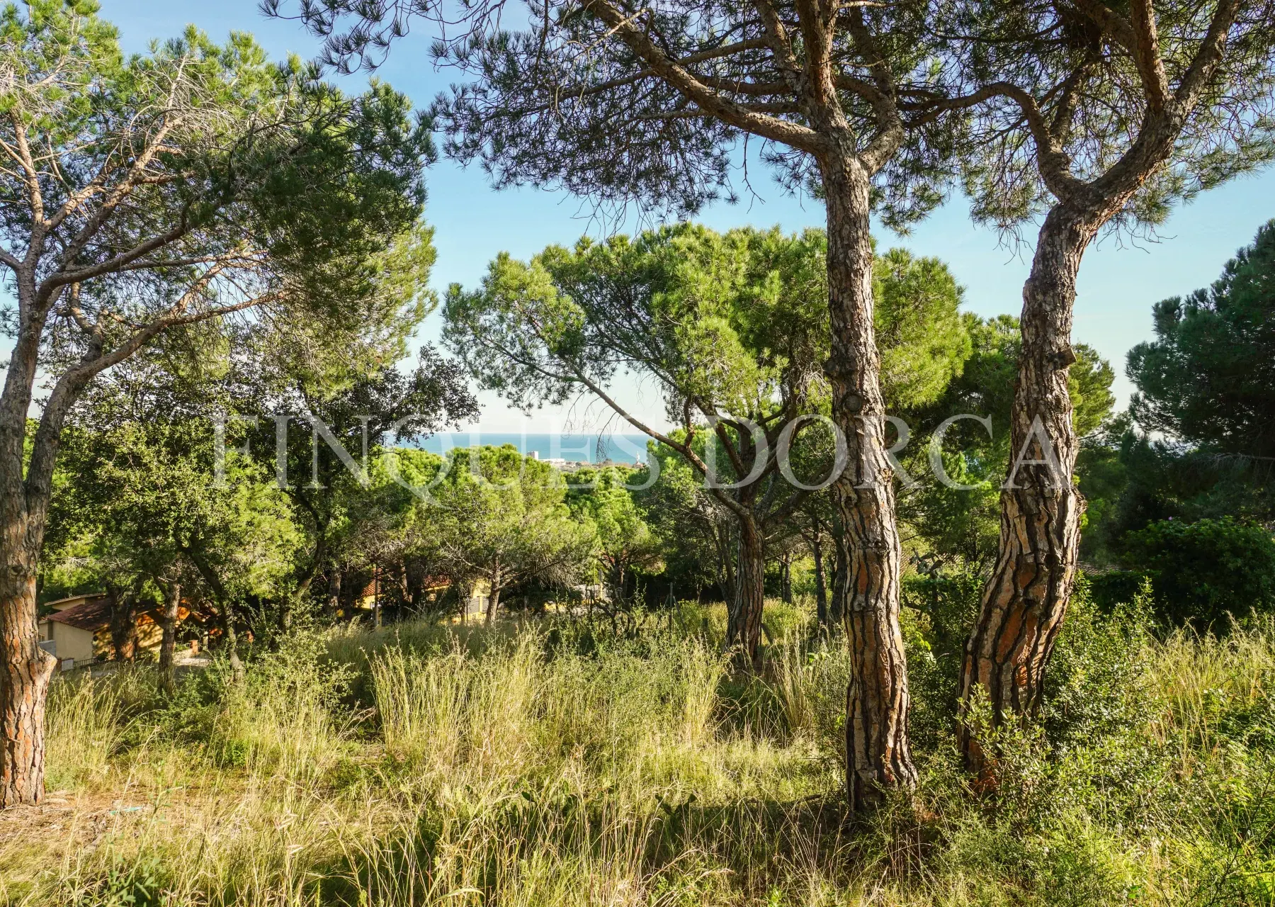 Parcela para dos viviendas con vistas al mar, foto 6