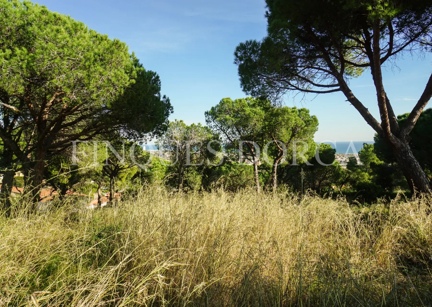 Parcela para dos viviendas con vistas al mar, foto 9