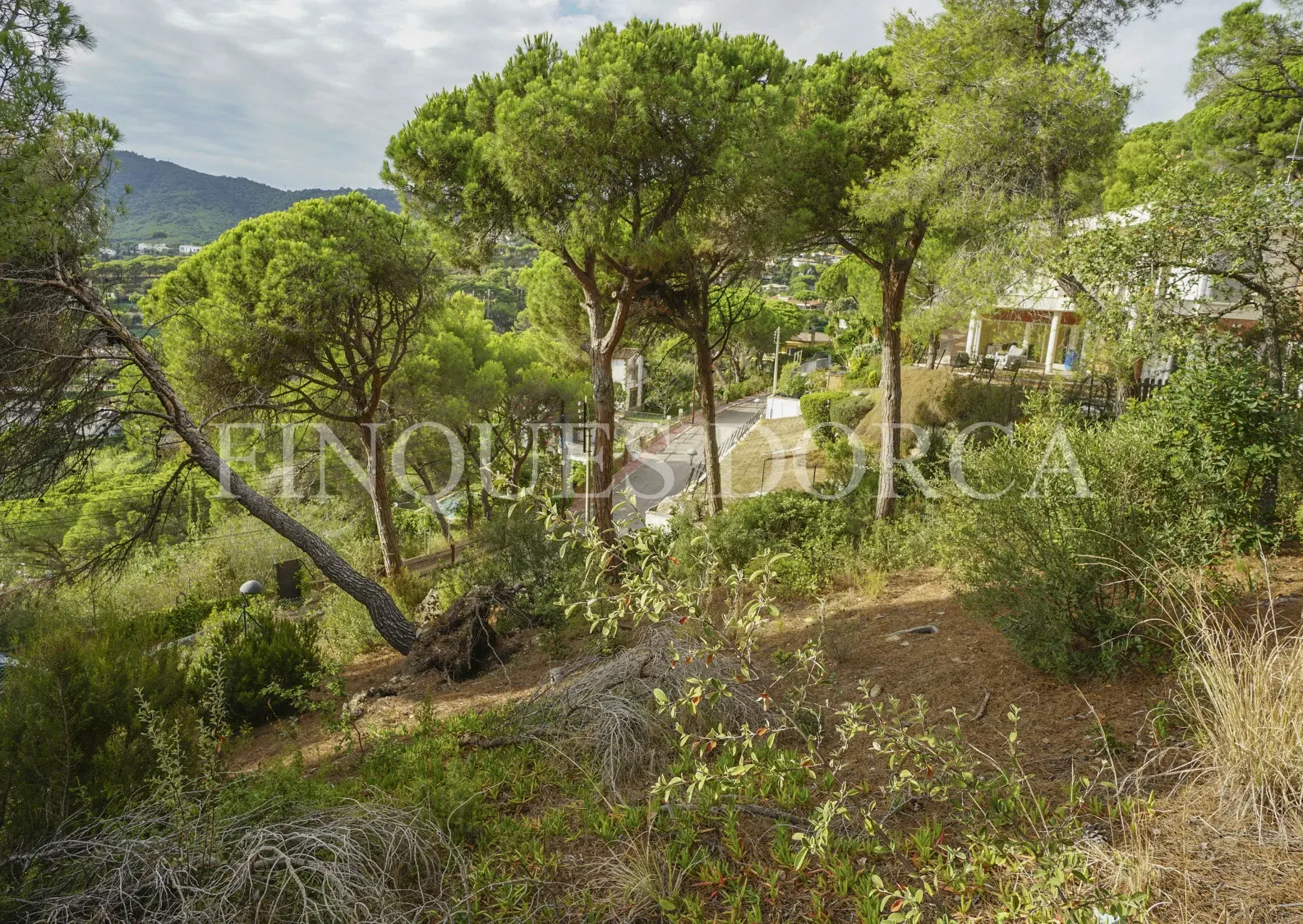 Terreno cercano al pueblo con sol todo el día, foto 7
