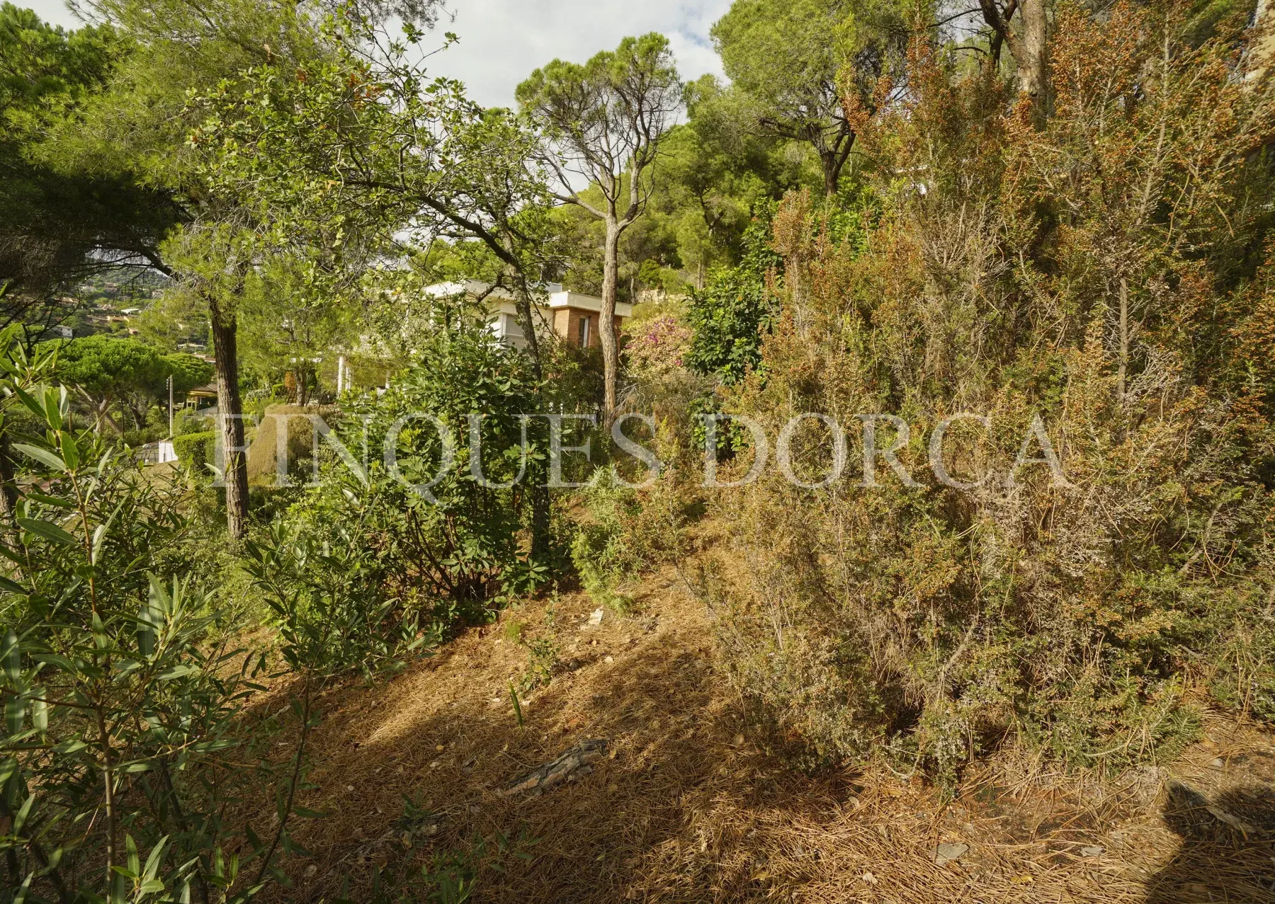 Terreno cercano al pueblo con sol todo el día, foto 9