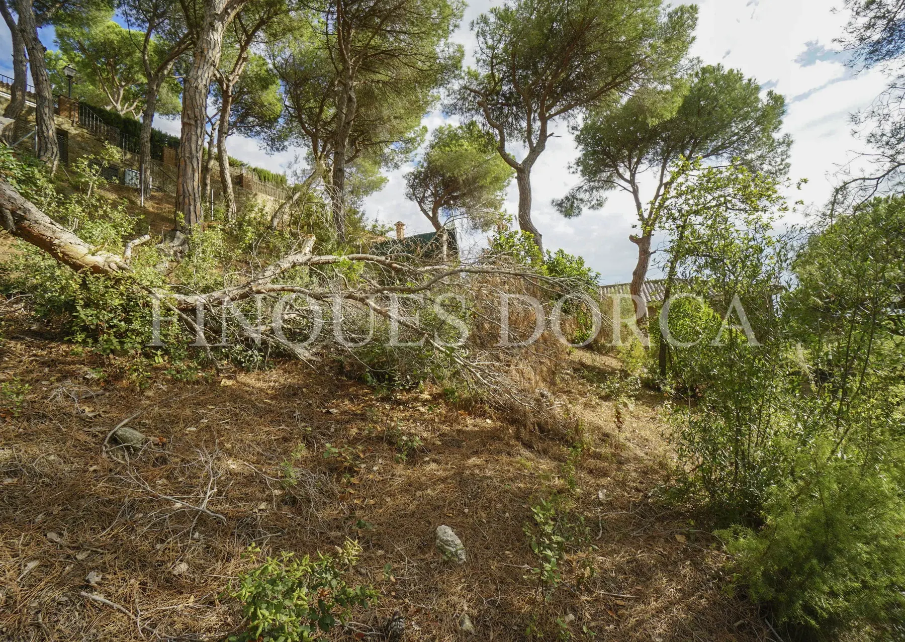 Terreno cercano al pueblo con sol todo el día, foto 10
