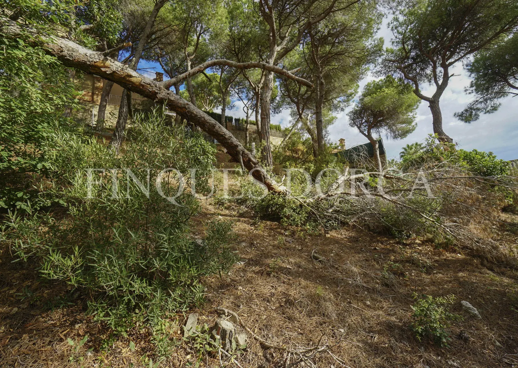 Terreno cercano al pueblo con sol todo el día, foto 11