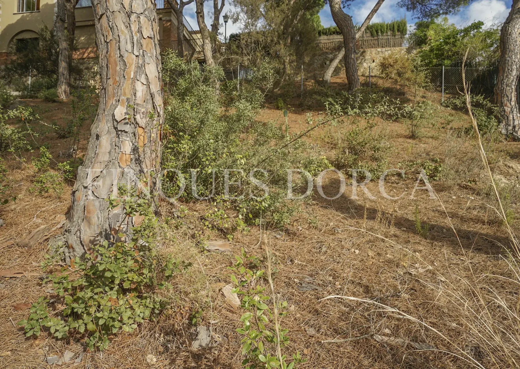 Terreno cercano al pueblo con sol todo el día, foto 15