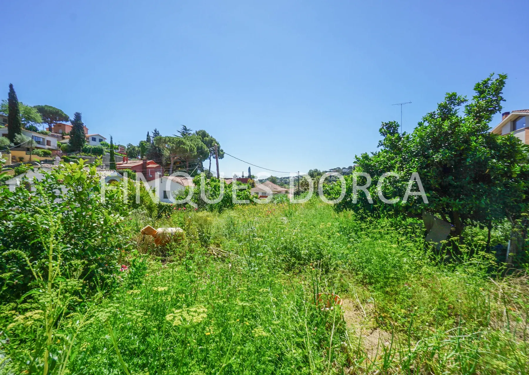 Terreno para dos casas en la urbanización La Llobera, foto 4