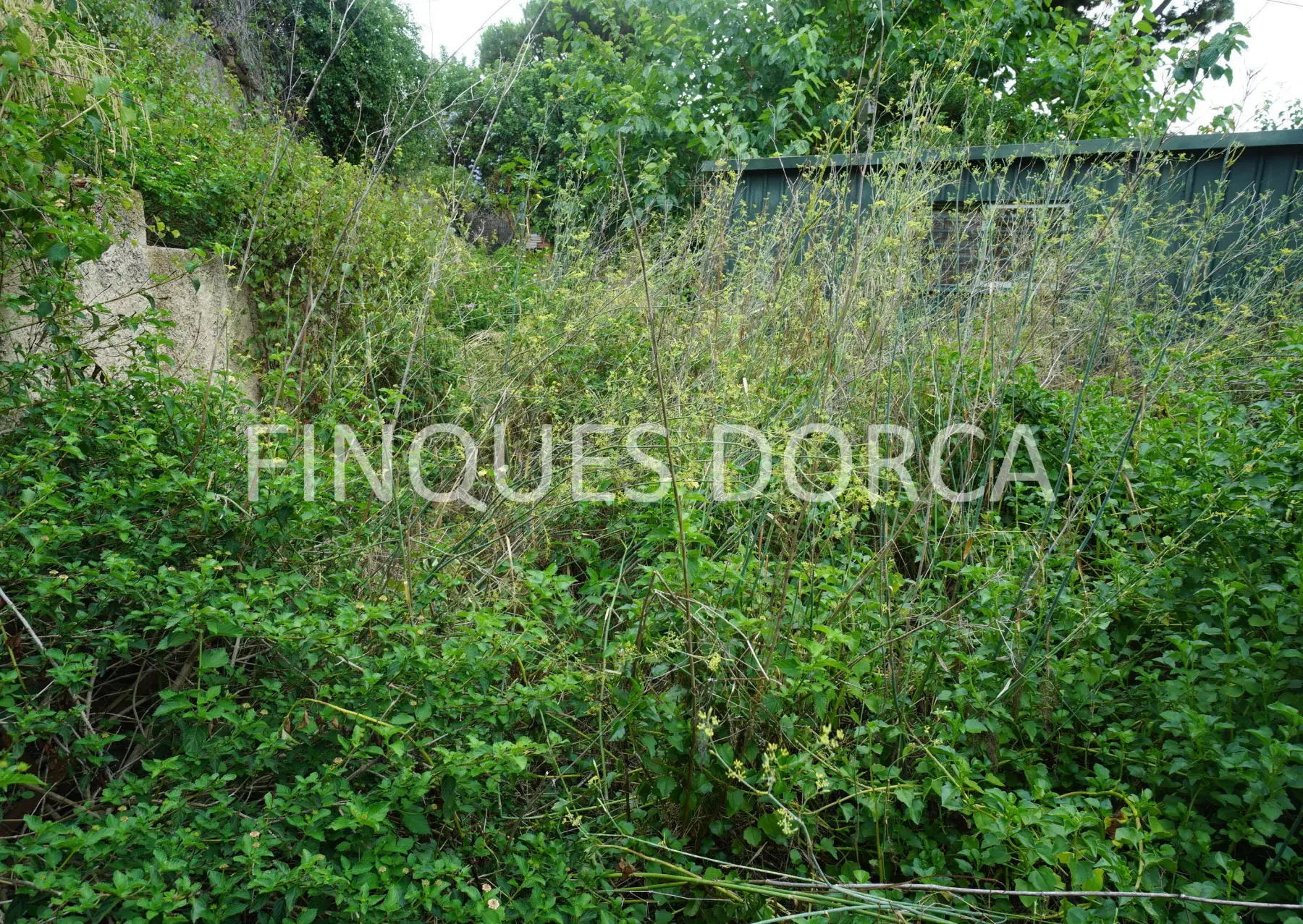 Terreno en Cabrils, foto 7