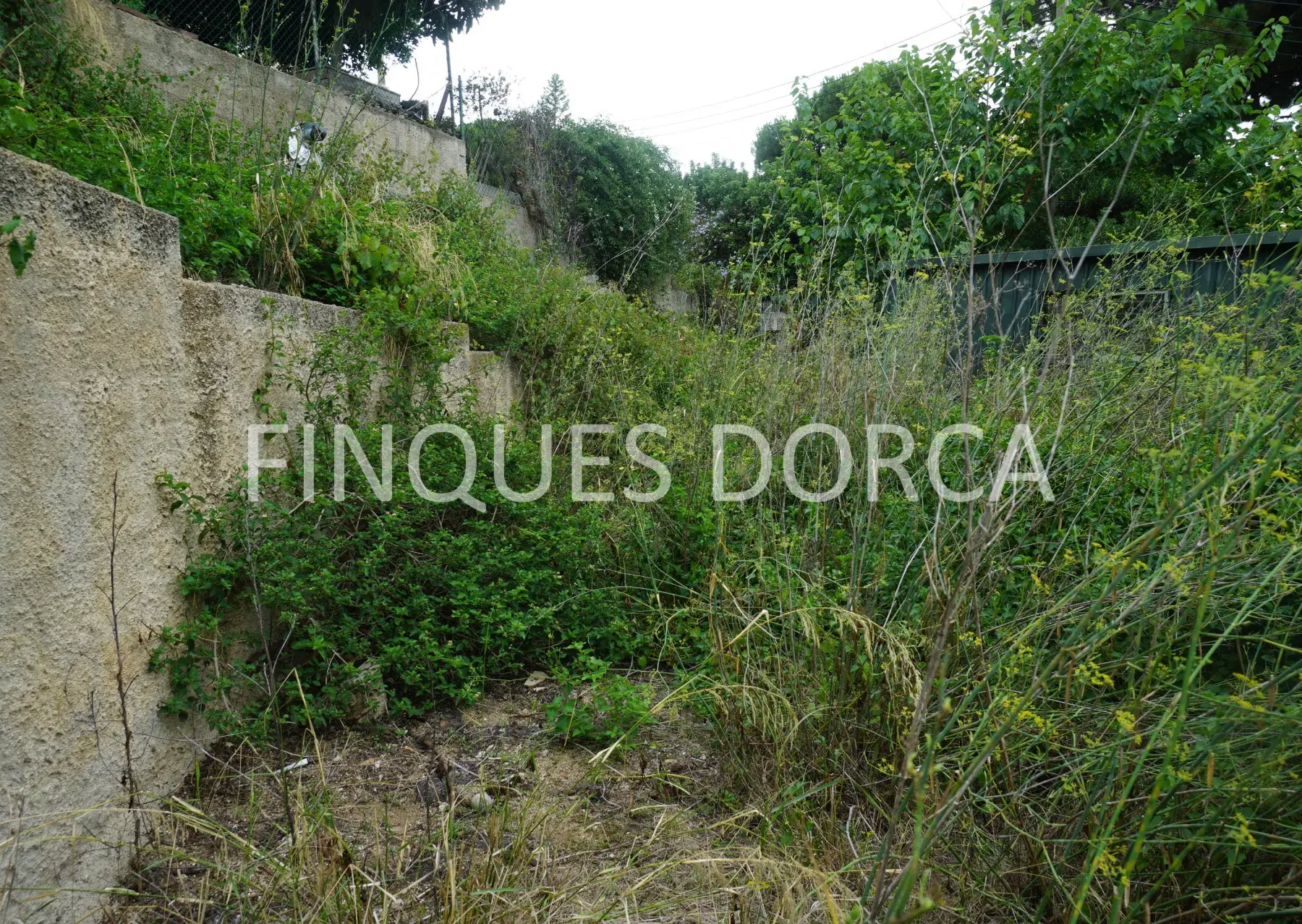 Terreno en Cabrils, foto 8