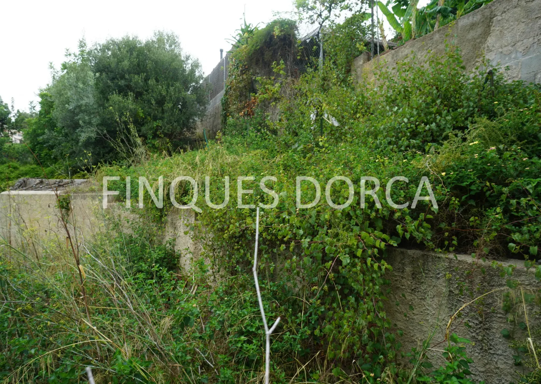 Terreno en Cabrils, foto 9
