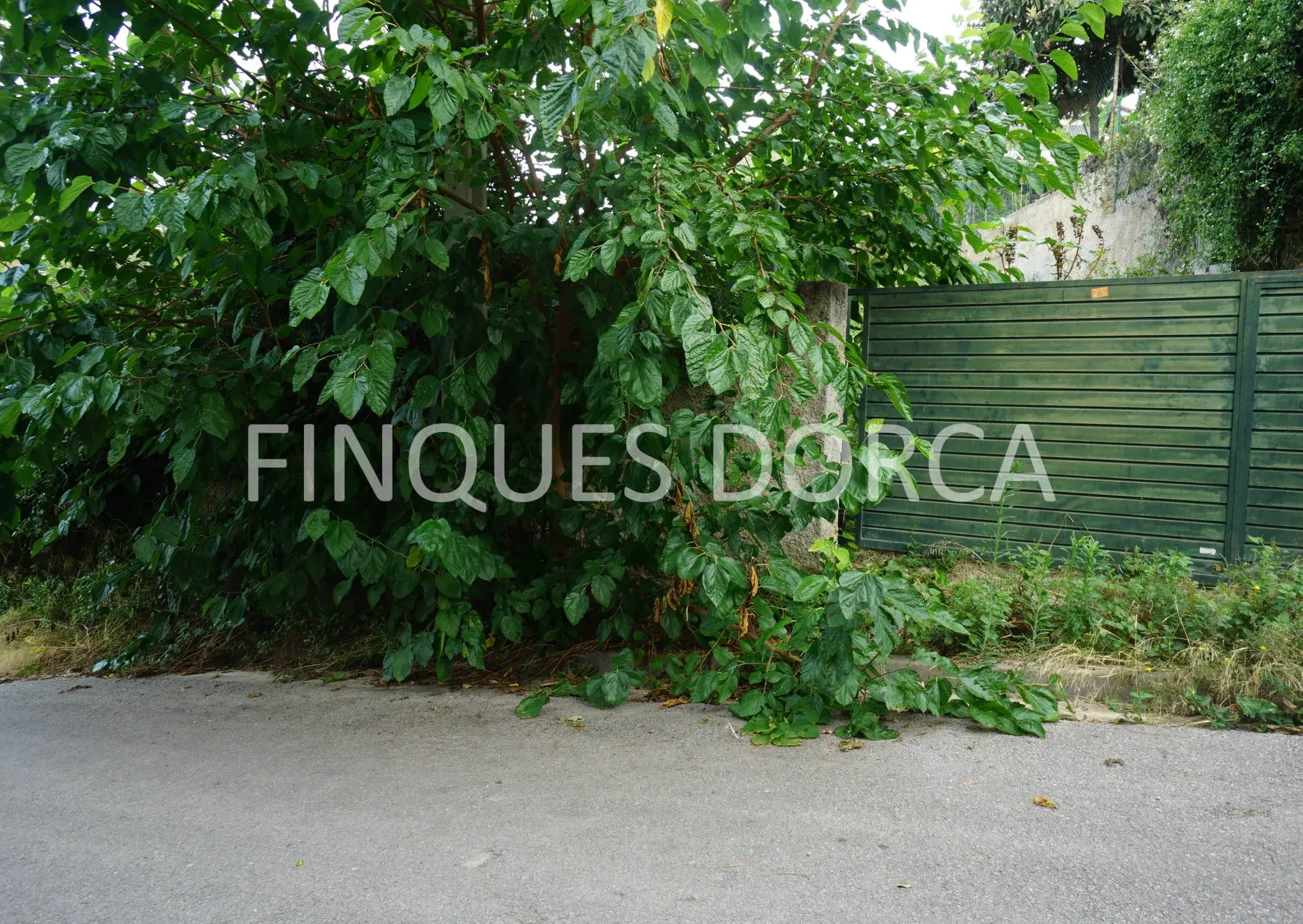 Terreno en Cabrils, foto 10