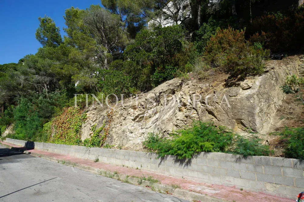 Terreny a Cabrils, foto 3