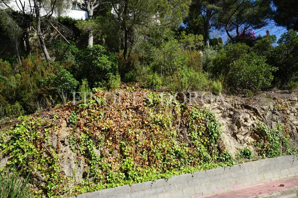 Terreny a Cabrils, foto 4