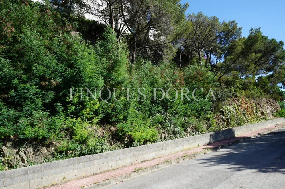 Terreny a Cabrils, foto 5