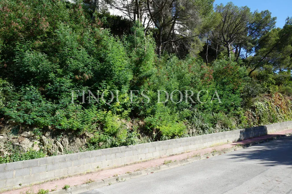 Terreny a Cabrils, foto 6
