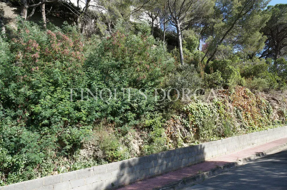 Terreny a Cabrils, foto 8