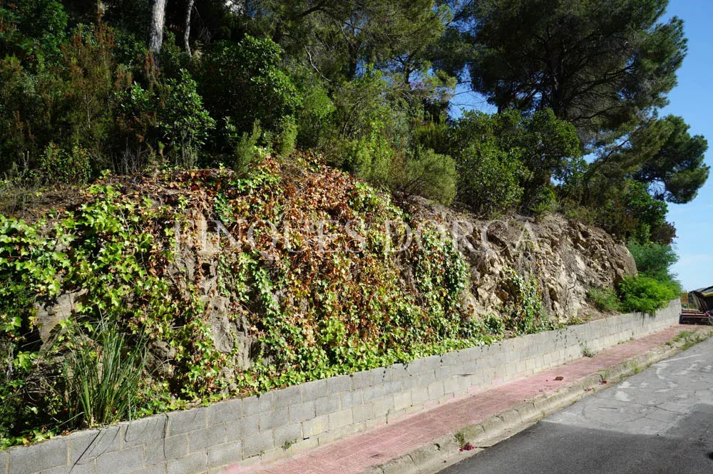 Terreny a Cabrils, foto 10